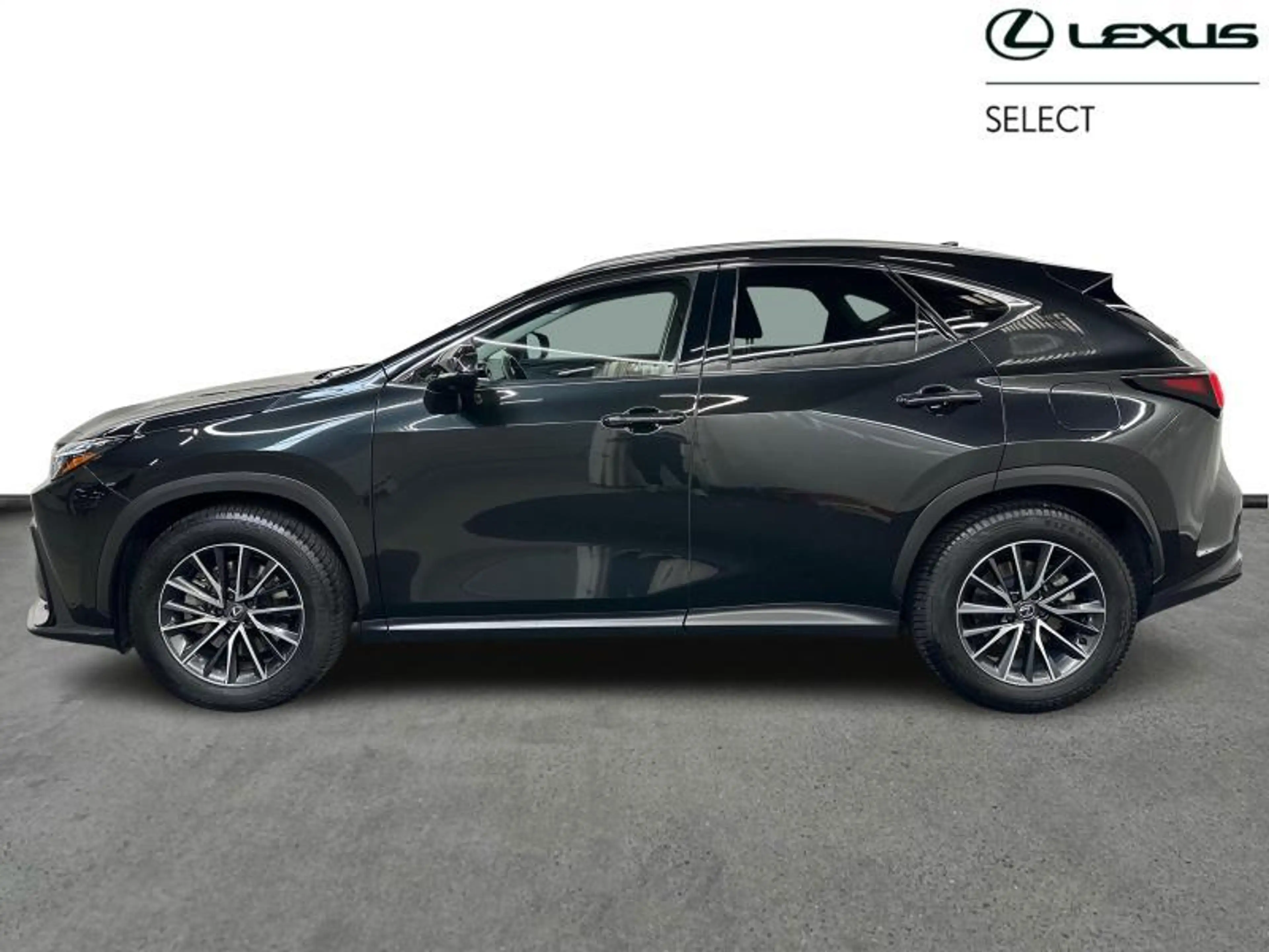 Lexus NX 450h+ Executive Line — photo 3