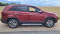 Kia Sorento Spirit 4WD Rot - thumbnail 1