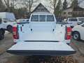 Ford Ranger DK XLT 2,3L PHEV 281PS A AWD Weiß - thumbnail 23