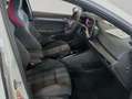 Volkswagen Golf GTI GTI 2,0 l TSI OPF 195 kW (265 PS) 7-Gang-Do Blanc - thumbnail 19