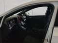 Volkswagen Golf GTI GTI 2,0 l TSI OPF 195 kW (265 PS) 7-Gang-Do Blanc - thumbnail 10