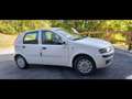 Fiat Punto 5p 1.2 ELX Bianco - thumbnail 4