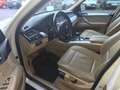 BMW X5 X5 E70 xdrive30d Futura auto 8m E5 Bianco - thumbnail 9