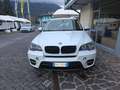 BMW X5 X5 E70 xdrive30d Futura auto 8m E5 Bianco - thumbnail 5