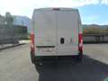 Fiat Ducato 2.3 MJT 130 CV L3H2 Porta Laterale Blanc - thumbnail 3