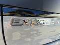 Volvo EX30 Cross Country Twin Motor Performance Ultra AWD Grau - thumbnail 14