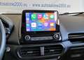 Ford EcoSport 1.0 EcoBoost 125 CV Start&Stop Titanium Grigio - thumbnail 13