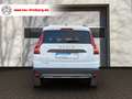 Dacia Jogger Comfort#LED#DAB#EPH Weiß - thumbnail 5