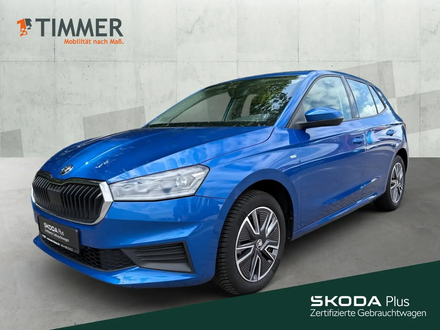 Skoda Fabia 1.0 TSI TOUR *LED *SITZHZ *NAVI *PDC *TEMPO * Blu/Azzurro - 1