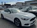 Ford Mustang 3.7 V6 "LPG+LED+NAVI+R.KAM+ALCANTARA+SHZ Bianco - thumbnail 12