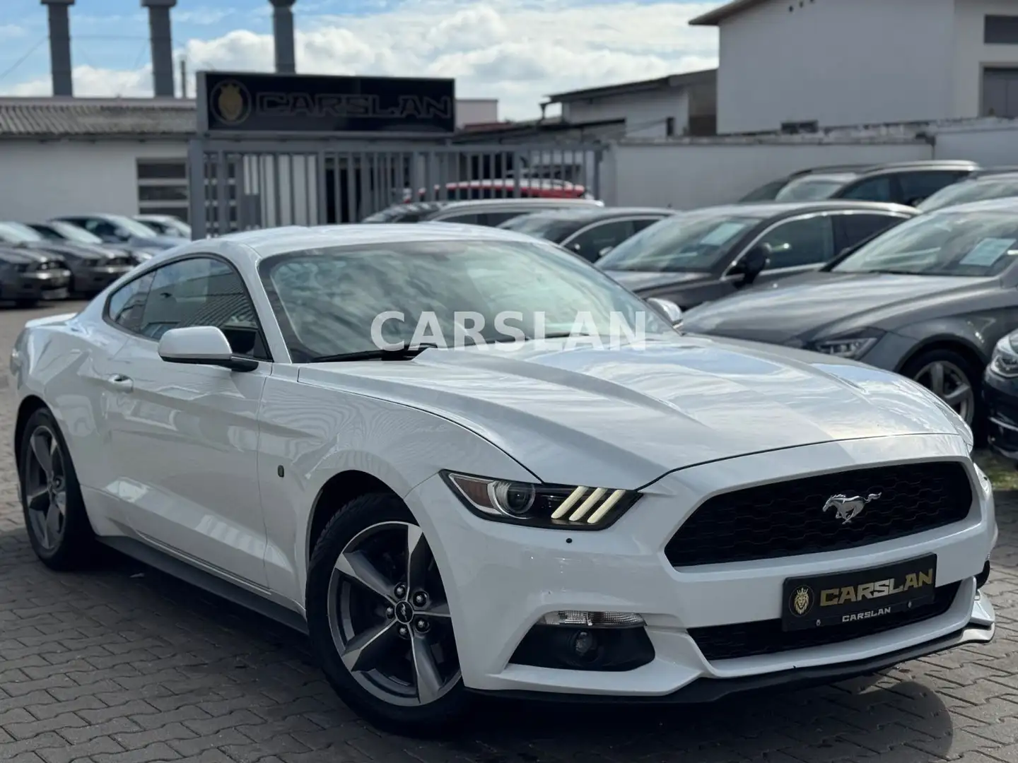 Ford Mustang 3.7 V6 "LPG+LED+NAVI+R.KAM+ALCANTARA+SHZ Wit - 1