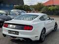 Ford Mustang 3.7 V6 "LPG+LED+NAVI+R.KAM+ALCANTARA+SHZ Bianco - thumbnail 6