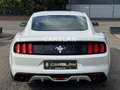 Ford Mustang 3.7 V6 "LPG+LED+NAVI+R.KAM+ALCANTARA+SHZ Bianco - thumbnail 5