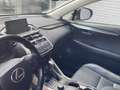 Lexus NX 300h Hybrid AWD Luxury Line Automaat | Trekhaak | Schui Brun - thumbnail 5