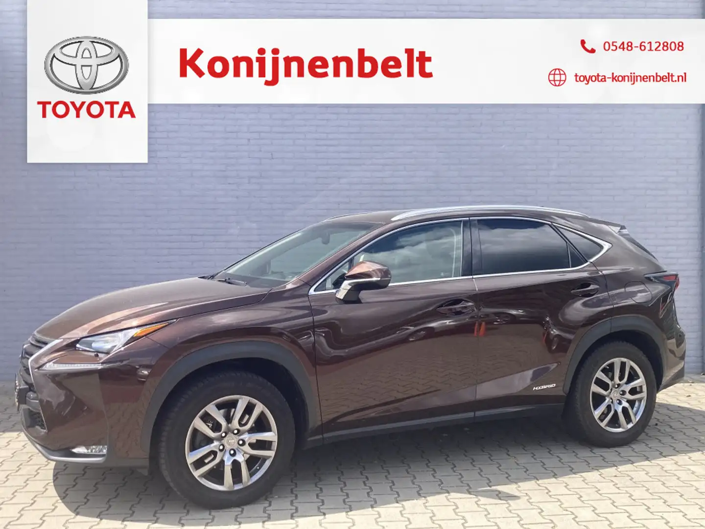 Lexus NX 300h Hybrid AWD Luxury Line Automaat | Trekhaak | Schui Brun - 1