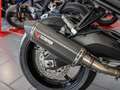 Yamaha Schwarz - thumbnail 10