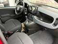 Fiat Panda Pandina III 2025 Pandina 1.0 *PACK CITY* Rosso - thumbnail 12