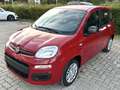 Fiat Panda Pandina III 2025 Pandina 1.0 *PACK CITY* Rosso - thumbnail 1