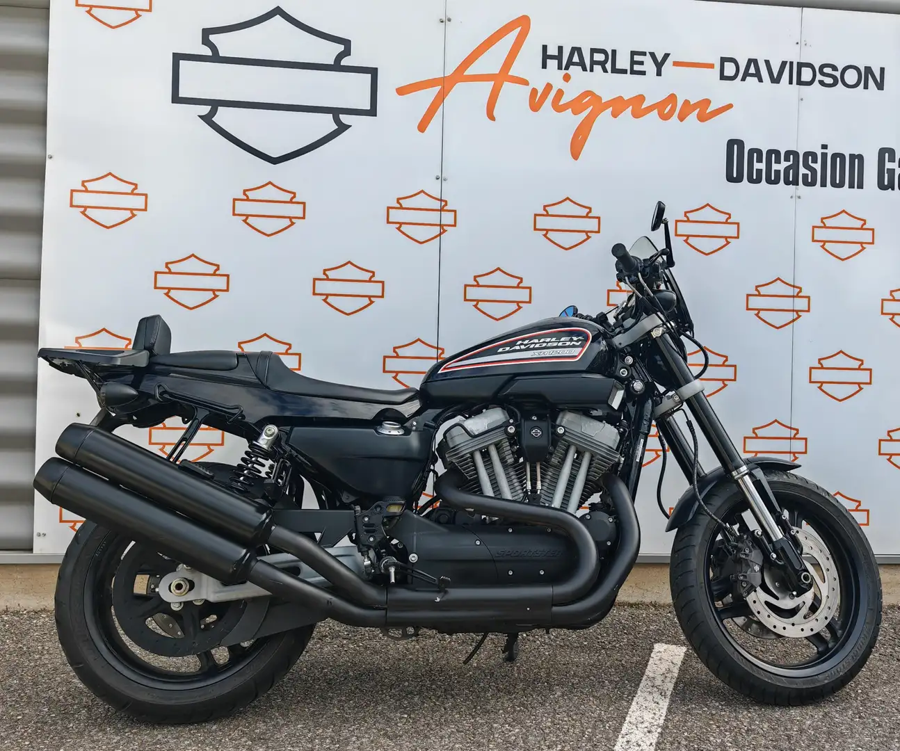 Harley-Davidson Sportster XR 1200 - 1
