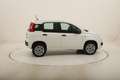 Fiat Panda Easy Natural Power 0.9 Metano 85CV Wit - thumbnail 6