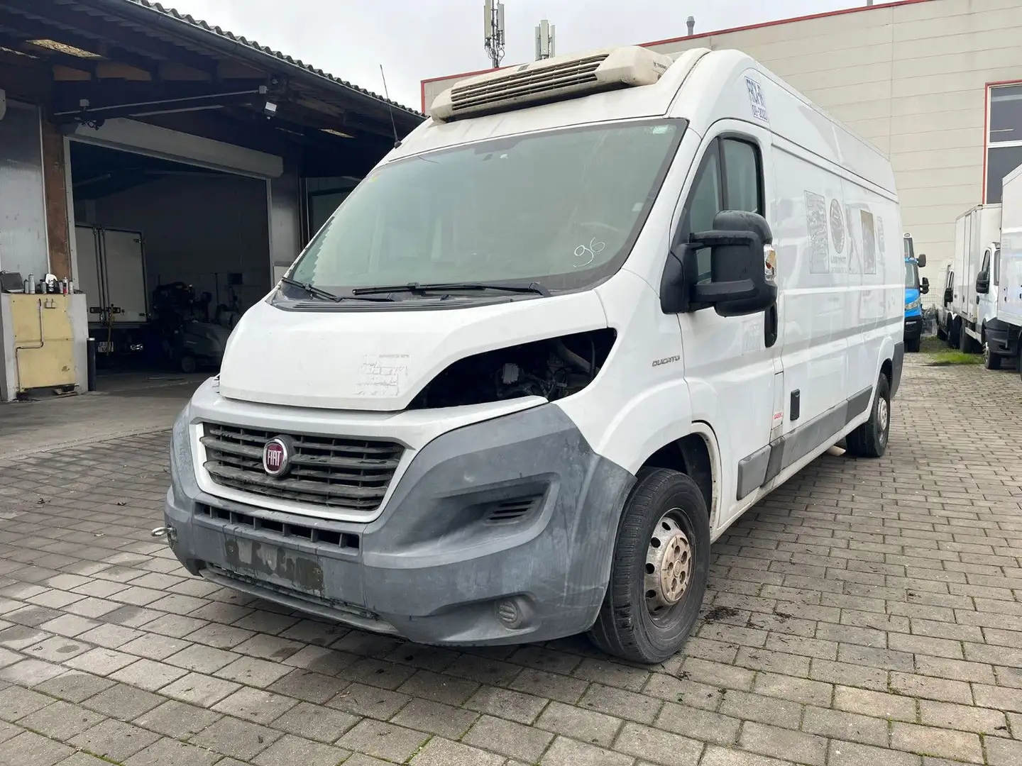 Fiat Ducato*Thermo-King V-300*Klima*Kühlkasten*Maxi* Weiß - 1