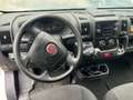 Fiat Ducato*Thermo-King V-300*Klima*Kühlkasten*Maxi* Weiß - thumbnail 11