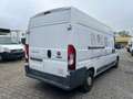 Fiat Ducato*Thermo-King V-300*Klima*Kühlkasten*Maxi* Weiß - thumbnail 6