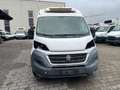 Fiat Ducato*Thermo-King V-300*Klima*Kühlkasten*Maxi* Weiß - thumbnail 9