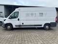 Fiat Ducato*Thermo-King V-300*Klima*Kühlkasten*Maxi* Weiß - thumbnail 2