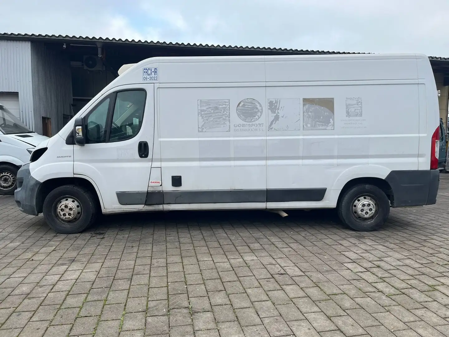 Fiat Ducato*Thermo-King V-300*Klima*Kühlkasten*Maxi* Weiß - 2
