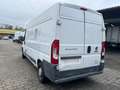 Fiat Ducato*Thermo-King V-300*Klima*Kühlkasten*Maxi* Weiß - thumbnail 3