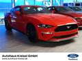Ford Mustang GT Fastback 5.0 V8 MagneRide Premium Paket 2 Rosso - thumbnail 6