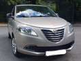 Lancia Ypsilon Ypsilon 1.2i Fire Evo II Gold Beige - thumbnail 3