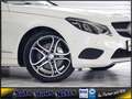 Mercedes-Benz E 250 CGI Cabrio Autom. COMAND Airscarf Assist-S Weiß - thumbnail 2