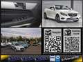 Mercedes-Benz E 250 CGI Cabrio Autom. COMAND Airscarf Assist-S Weiß - thumbnail 30