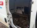 Opel Combo Kasten L1H1 Klima 1 Hand Weiß - thumbnail 10