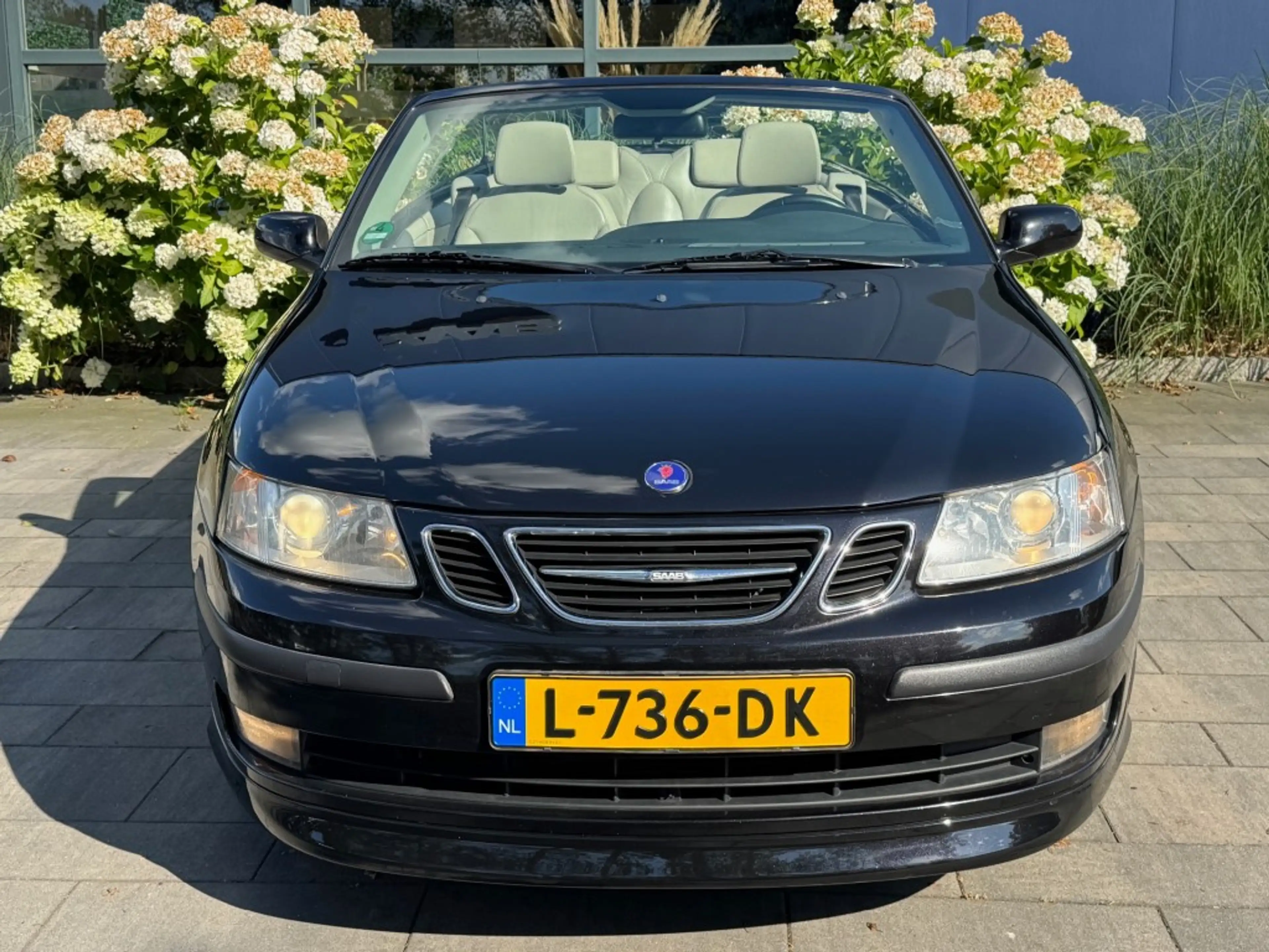 Saab 9-3 Cabriolet 1.8t 195pk Hirsch 165dkm Navi/300Watt/17 — photo 8