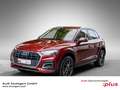 Audi Q5 40 TDI quattro AHK Pano HeadUp Massage B&O 20' Rot - thumbnail 1