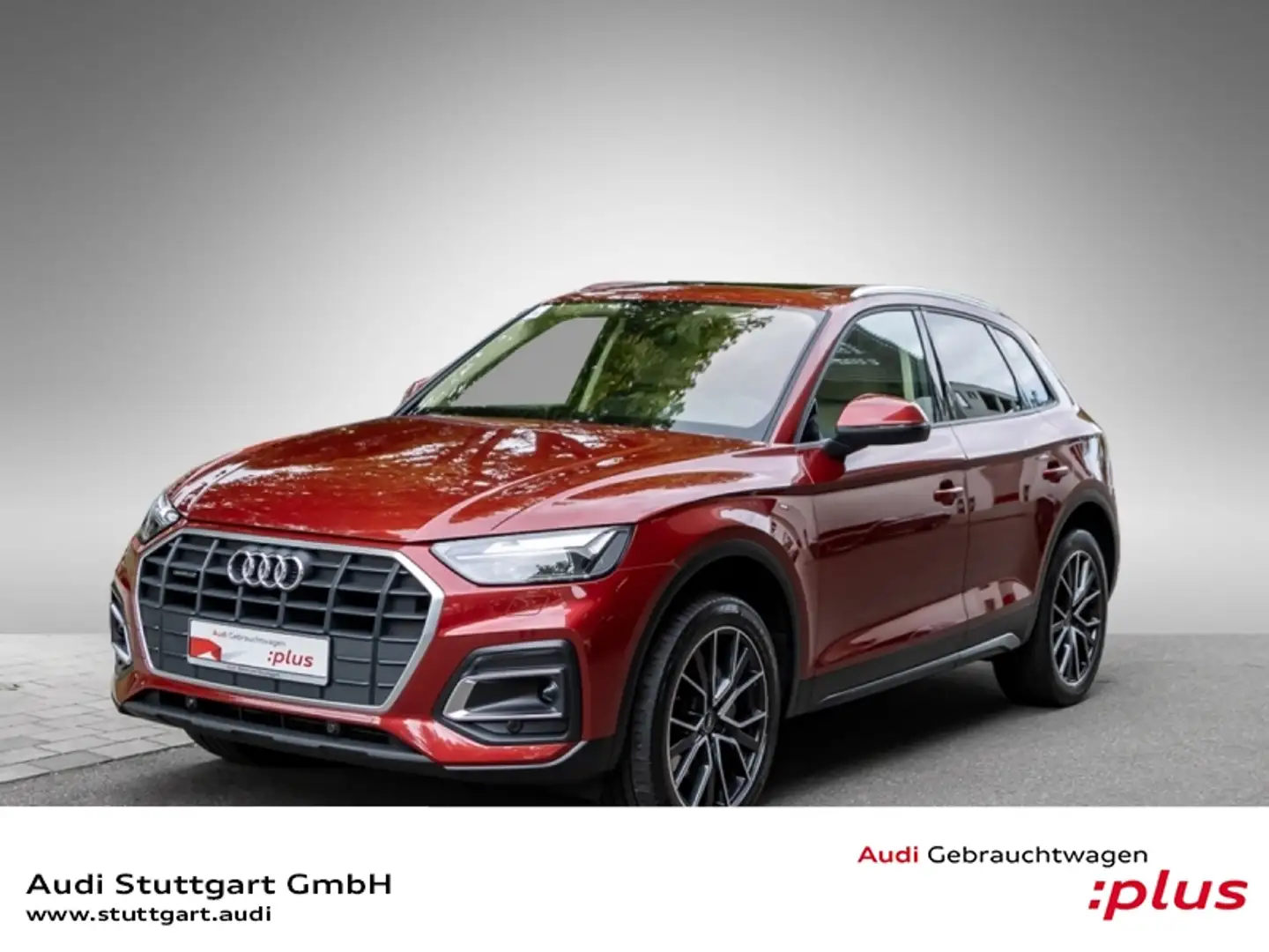 Audi Q5 40 TDI quattro AHK Pano HeadUp Massage B&O 20' Rot - 1
