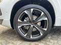 CUPRA Ateca 2.0 TSI 140 kW (190 PS) 7-Gang DSG 4Drive Weiß - thumbnail 12