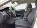 Skoda Octavia Combi 1,5 TSI First Edition Navi Kamera Weiß - thumbnail 8