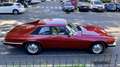 Jaguar XJS HE Burdeos - thumbnail 4