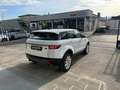 Land Rover Range Rover Evoque Range Rover Evoque 5p 2.0 td4 HSE 150cv - thumbnail 7