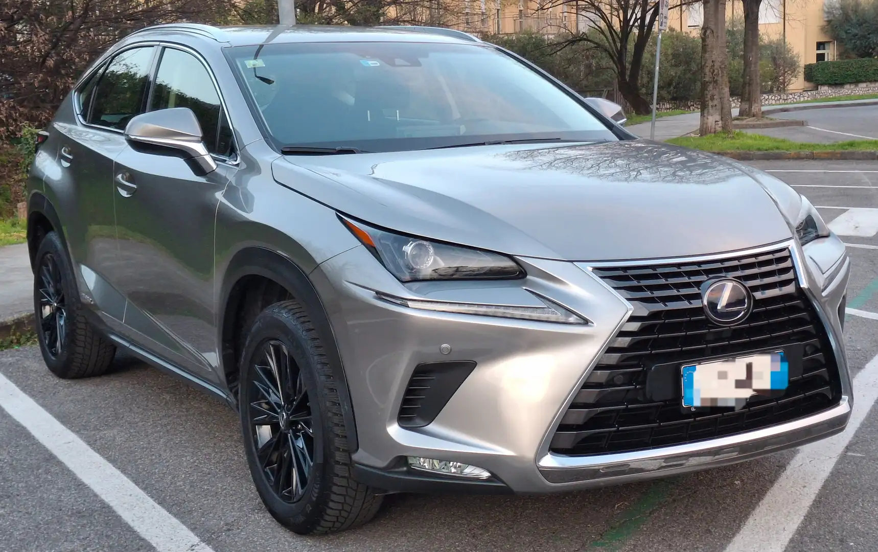 Lexus NX 300h Executive 4WD Grey - 1