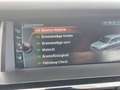 BMW X3 xDrive 20 d xLine AHK HUD Xenon Negro - thumbnail 12