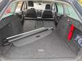 Skoda Octavia Clever, HU/AU NEU Grau - thumbnail 17