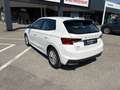 Skoda Fabia Fabia 1.0 MPI 65 CV Ambition Bianco - thumbnail 7