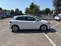Skoda Fabia Fabia 1.0 MPI 65 CV Ambition Bianco - thumbnail 4