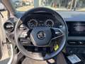 Skoda Fabia Fabia 1.0 MPI 65 CV Ambition Bianco - thumbnail 14