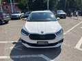 Skoda Fabia Fabia 1.0 MPI 65 CV Ambition Bianco - thumbnail 2